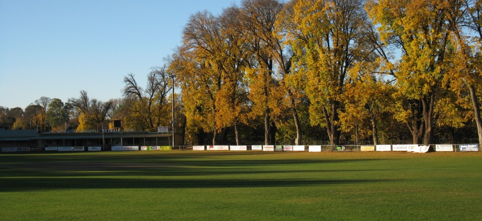 Image: Camp Reserve trees 
Link to child page: Sports and recreation
