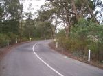 Chewton Roadside