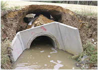 Flood Image 2