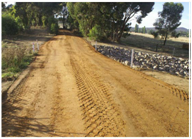 Flood Image 3