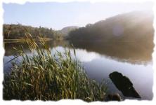 Lake in Valley