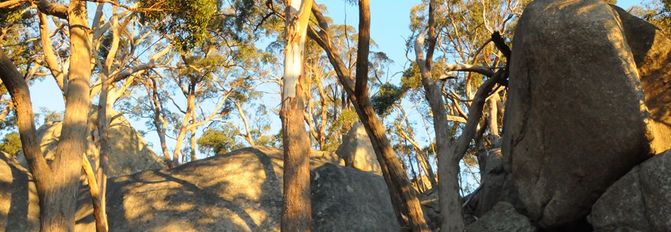 Mount Alexander, Dog Rocks