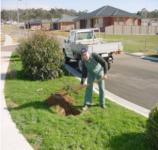 Worker Digging