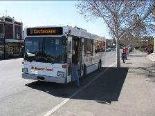 Castlemaine Bus Lines