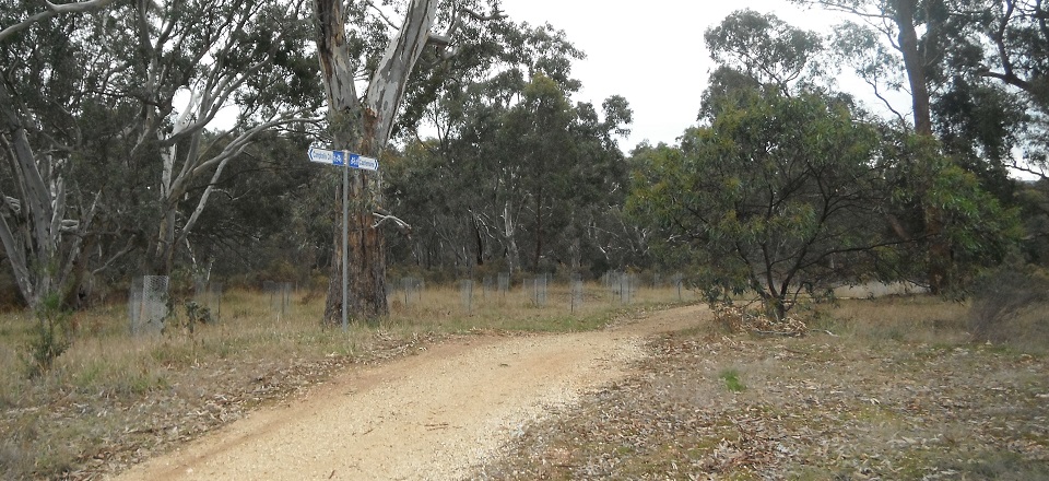 Walks, tracks and trails