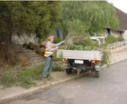 Worker Clearing branches